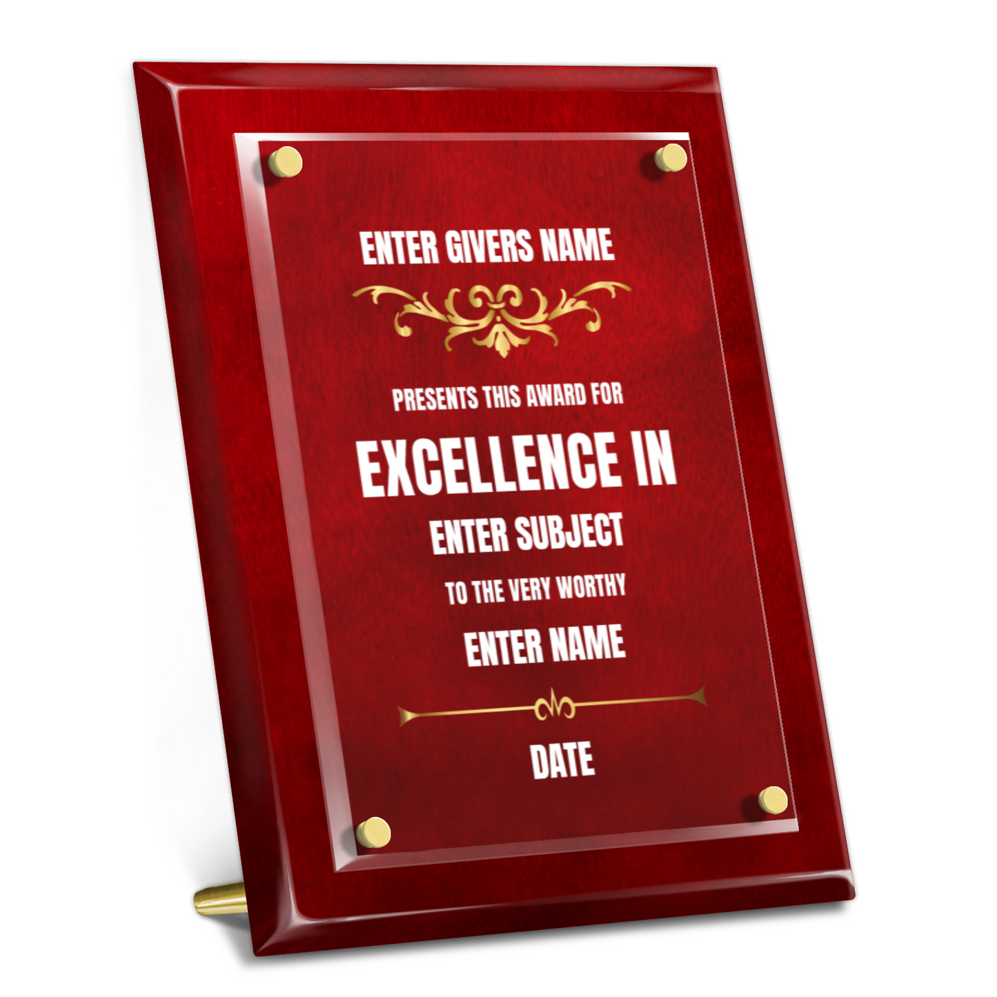 9" x 12" Excellence Award 4