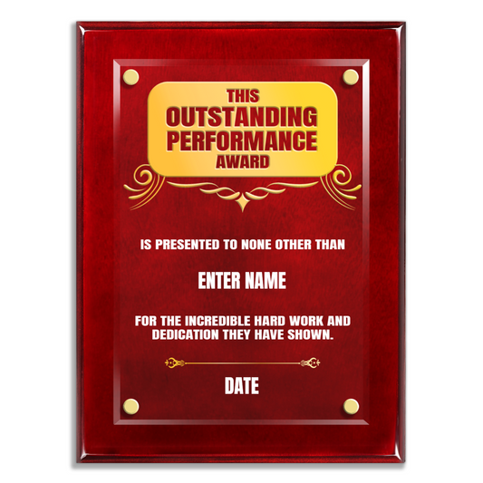 9" x 12" Outstanding Performance Award 3