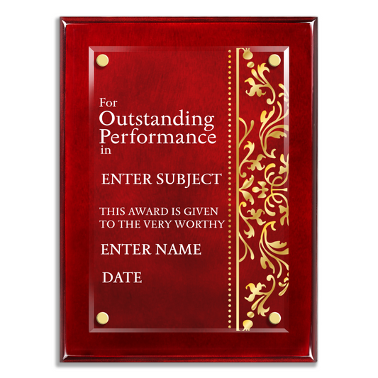 9" x 12" Outstanding Performance Award 2