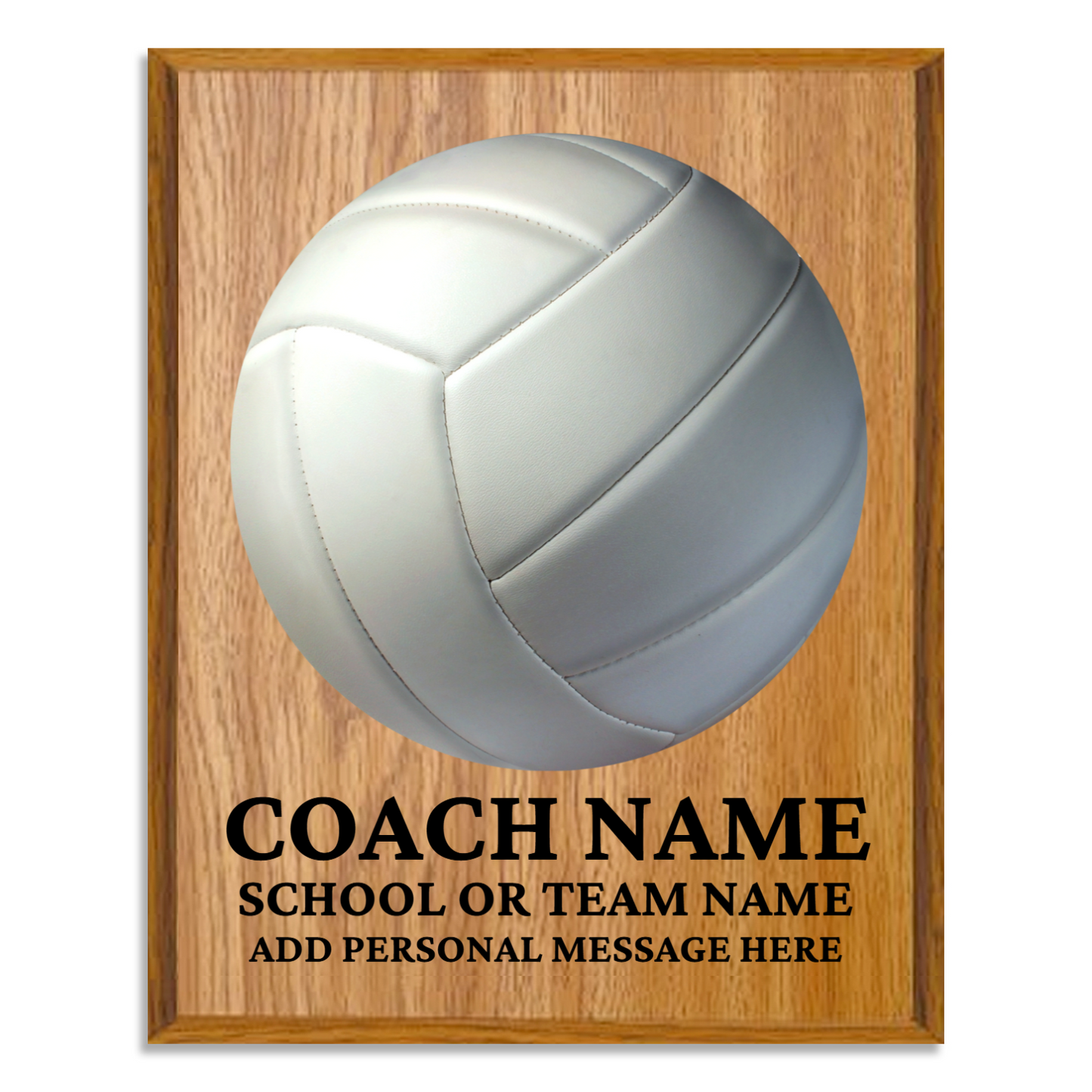 Personalized UV Printed Luxury Award Volleyball 12" x 15"