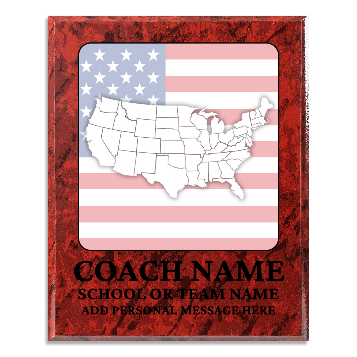 Personalized UV Printed Luxury Award U.S. Constitution and American Government Competition  12" x 15"