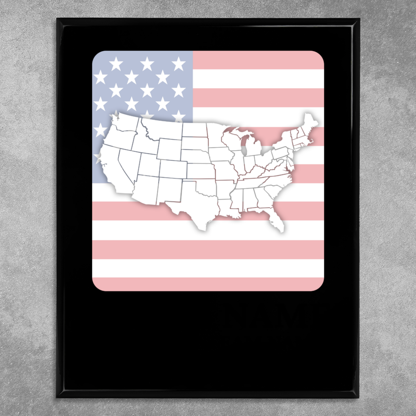 Personalized UV Printed Luxury Award U.S. Constitution and American Government Competition  12" x 15"