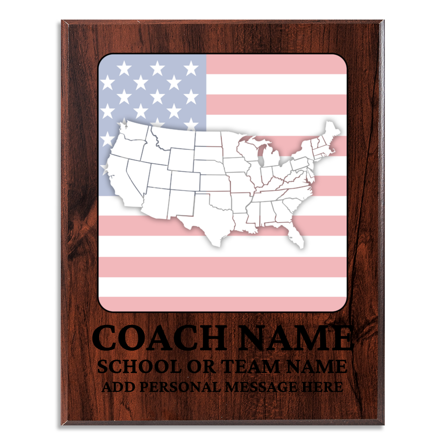 Personalized UV Printed Luxury Award U.S. Constitution and American Government Competition  12" x 15"