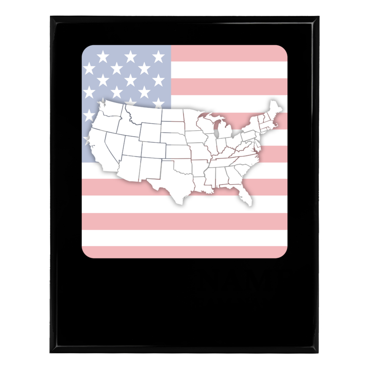 Personalized UV Printed Luxury Award U.S. Constitution and American Government Competition  12" x 15"