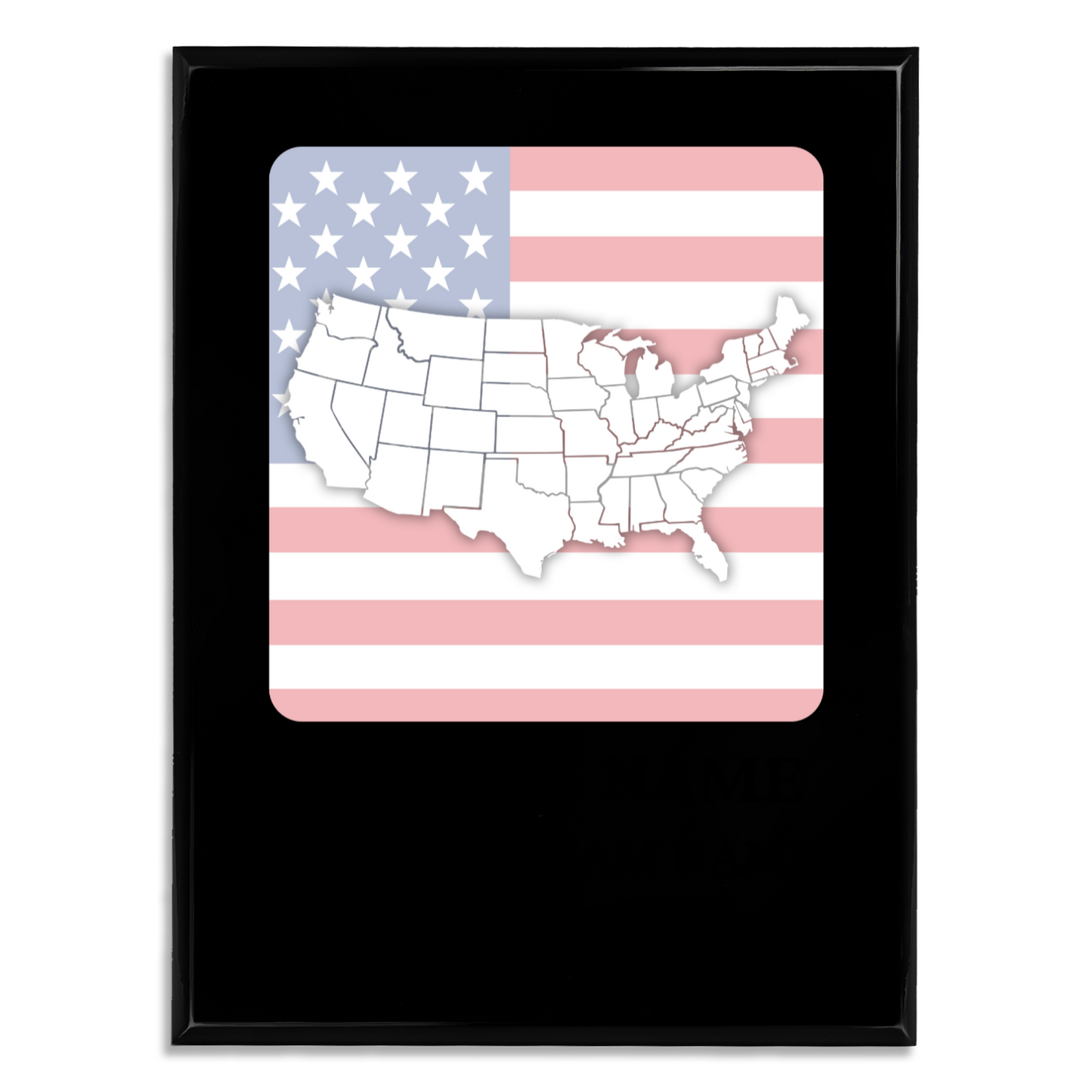 Personalized UV Printed Luxury Award U.S. Constitution and American Government Competition  9" x 12"