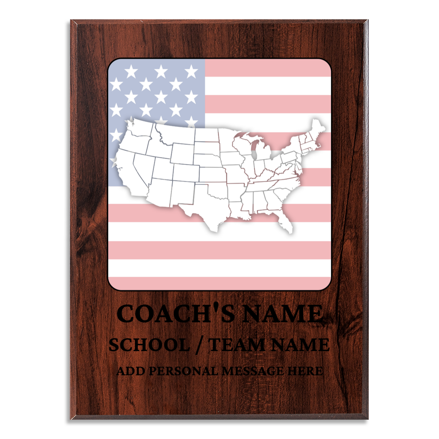 Personalized UV Printed Luxury Award U.S. Constitution and American Government Competition  9" x 12"