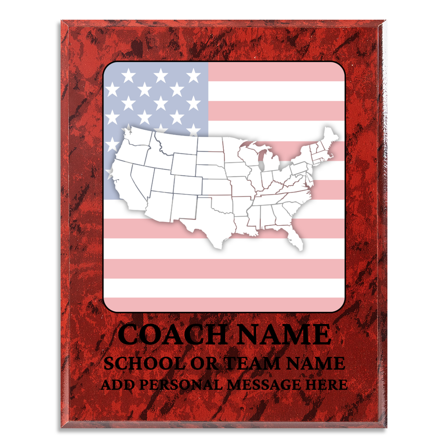 Personalized UV Printed Luxury Award U.S. Constitution and American Government Competition 10.5" x 13"