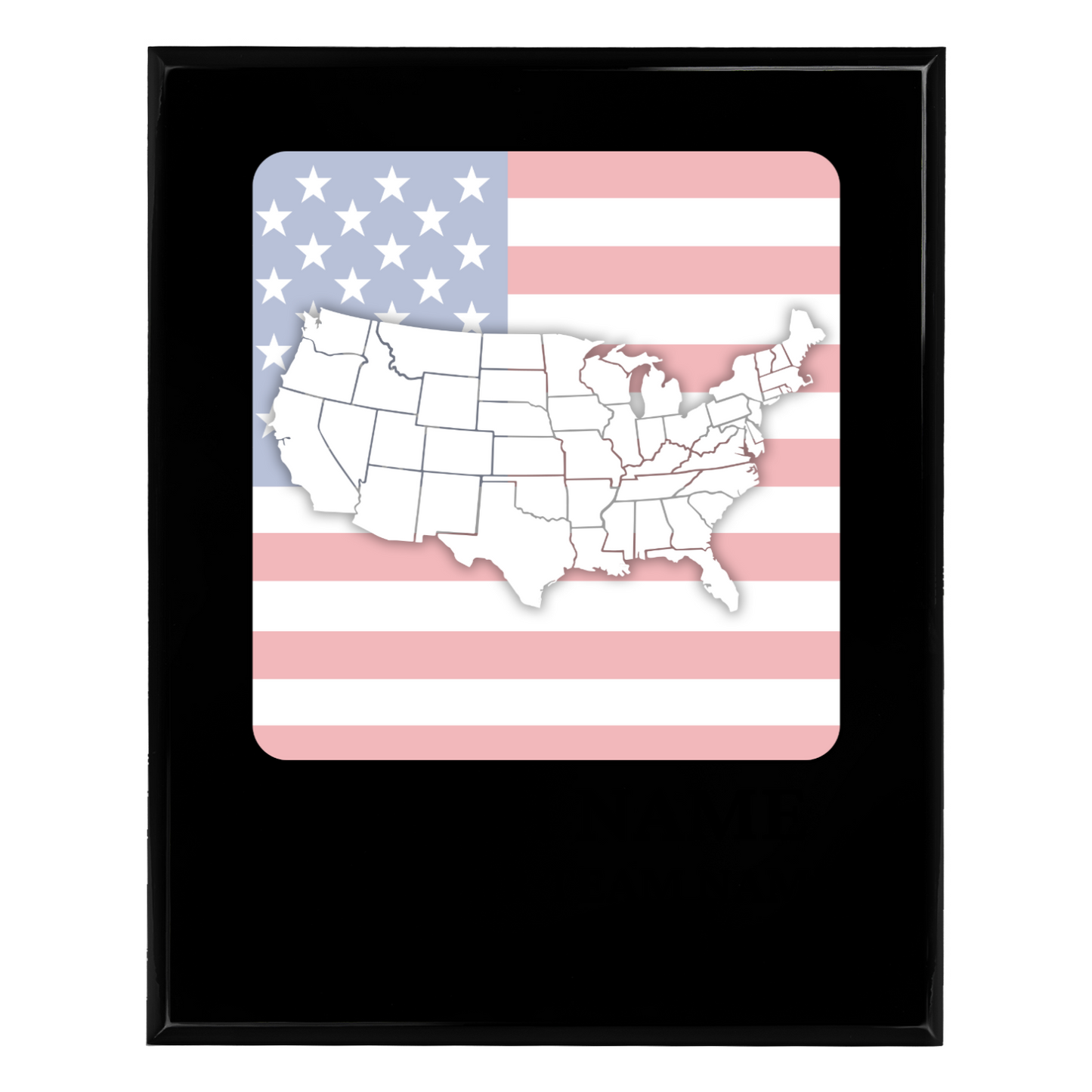 Personalized UV Printed Luxury Award U.S. Constitution and American Government Competition 10.5" x 13"
