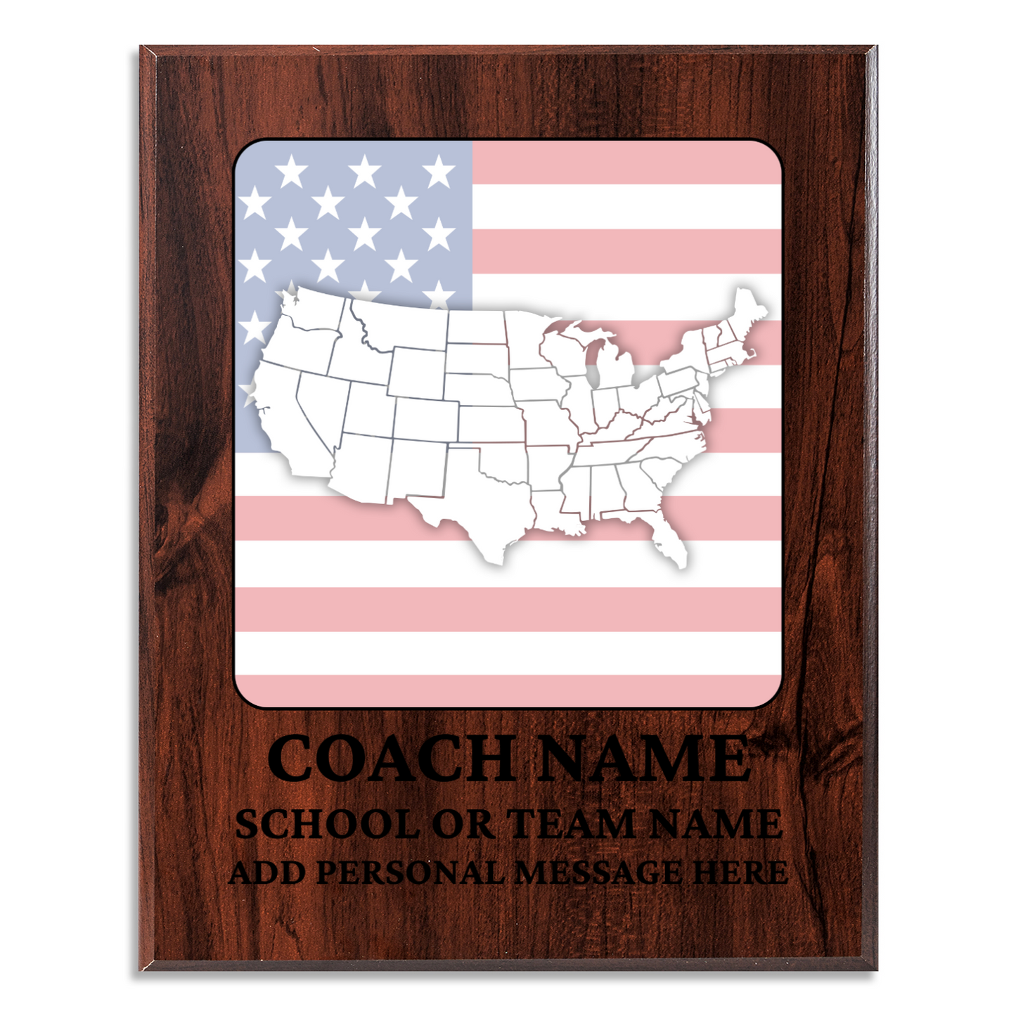 Personalized UV Printed Luxury Award U.S. Constitution and American Government Competition 10.5" x 13"